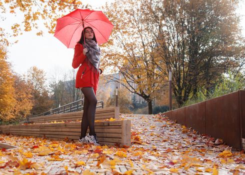 young girl in a red coat with an umbrella standing on the alley of a city park on a sunny autumn day