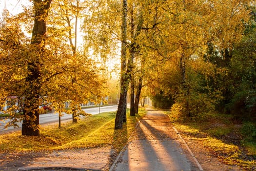 empty city alley on a sunny autumn morning