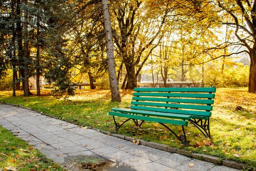 green empty wooden bench in a city park on sunny autumn day