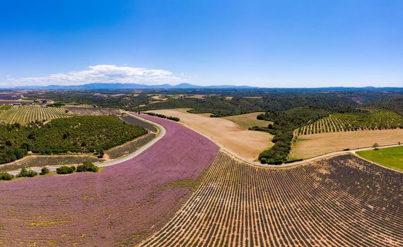 Lavender fields in Ardeche in southeast France. Drone aerial view