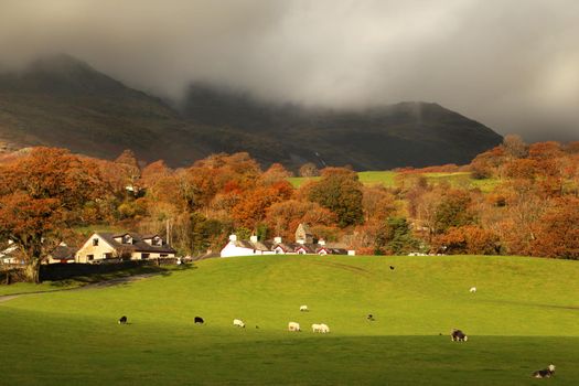 Autumn dramatic landscape with sky, green grass, mountain. Autumn season