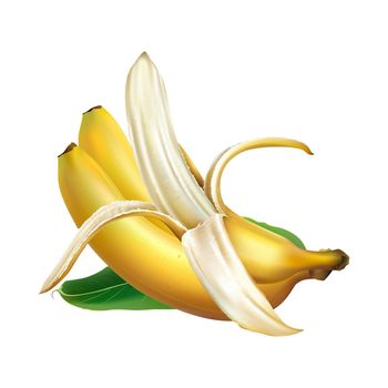 Two whole and half-peeled banana with green leaf. Realistic illustration on a white background.