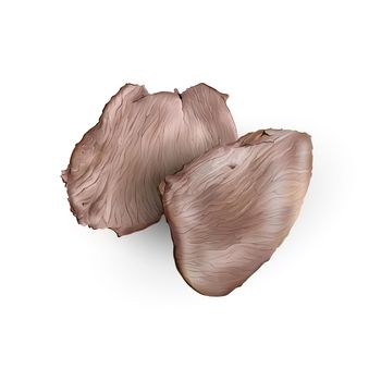 Two pieces of boiled meat on a white background. Realistic style illustration.