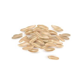 Brown long grain rice pile on a white background. Realistic style illustration.