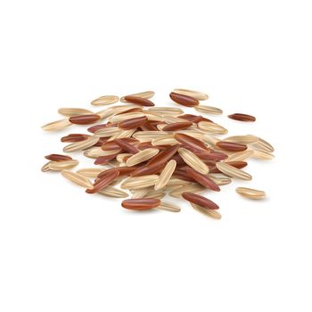 Pile of mixed brown and red long grain rice on a white background. Realistic style illustration.