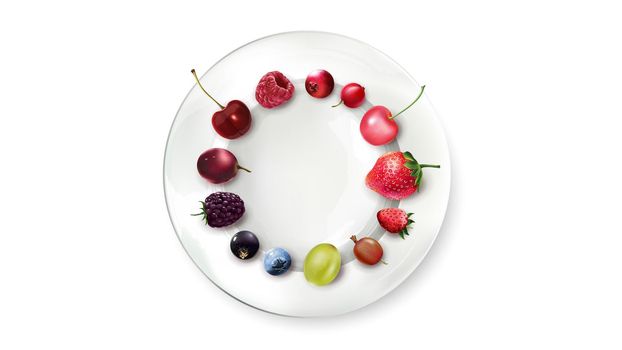 Different berries are laid out on a white plate. Use this composition for your presentation.