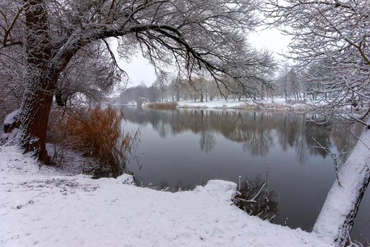 Snowy winter landscape with tranquil river or lake reflecting the surrounding trees laden with fresh white snow in a concept of the seasons