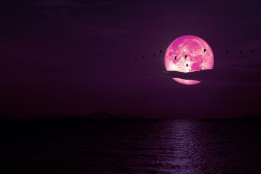 Full Snow pink Moon on night sky back cloud over dark sea, Elements of this image furnished by NASA