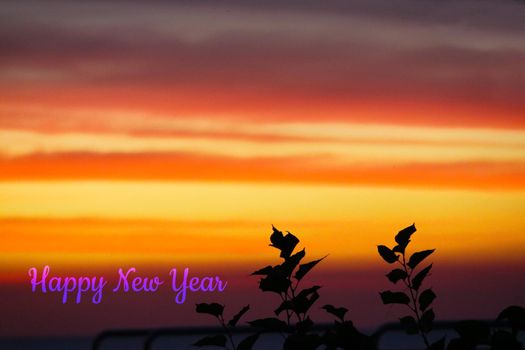 flame red orange yellow sky and happy new year text in sunset back silhouette plant