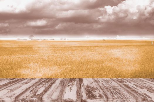 wooden pattern floor or table top with the gold color of rice in the field landscape and cloud on sky