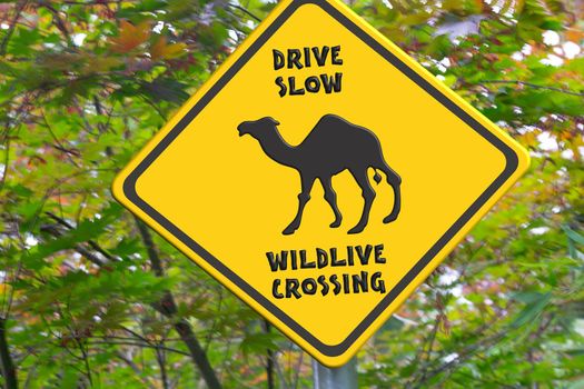 In the foreground a yellow warning sign with inscription in English - Drive slow Wildlife Crossing 