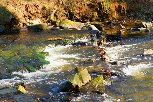 Forest River waterfall view. Wild rapids. Forest wild river water stream. 