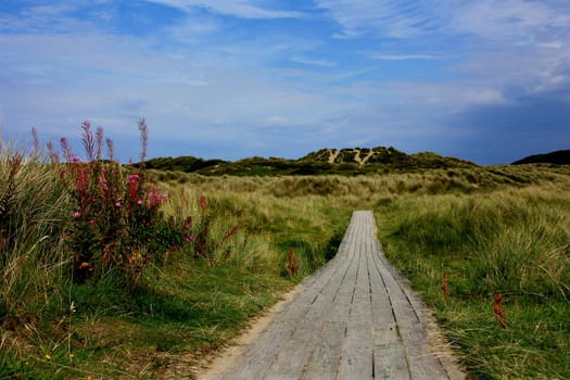 Summer landscape with green grass, road, dramatic cloudy sky clouds