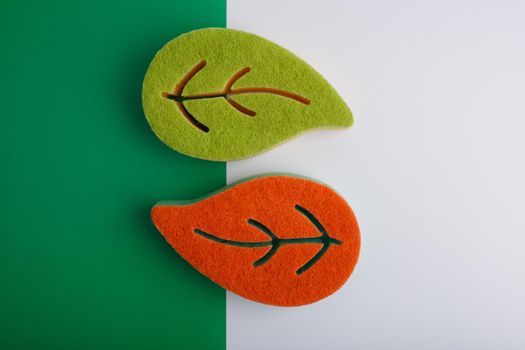 Top view of colored green and orange sponges for washing disges on green and white background . High quality photo
