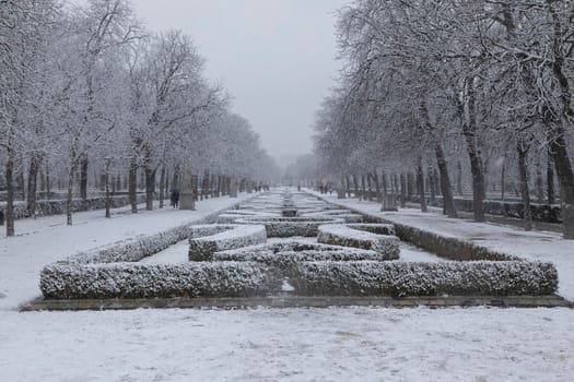 Madrid, Spain - January 07, 2021: People enjoying a walk through the Buen Retiro park in Madrid, in the middle of a snowy day, due to a wave of polar cold.