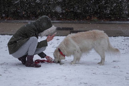 Madrid, Spain - January 07, 2021: People enjoying with their pet, walking the dog, in the Buen Retiro park in Madrid, in the middle of a snowy day, due to a wave of polar cold.