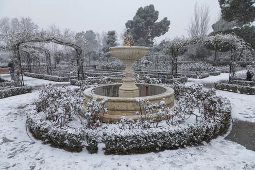 Madrid, Spain - January 07, 2021: General view of an area of the Rosaleda, with a frozen fountain, in the Buen Retiro park in Madrid, in the middle of a snowy day, due to a wave of polar cold.