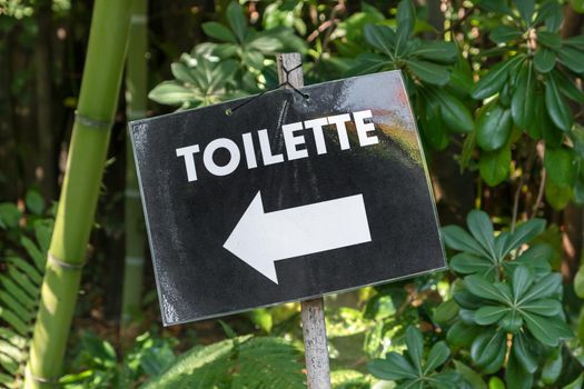 Plastic toilet sign with trees background. WC signpost for restroom.