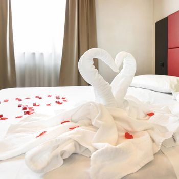 Two towel swans and rose petals on bed in light hotel room. For couple in Honey Moon and Valentine's Day.
