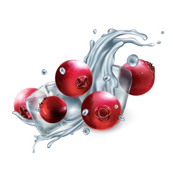 Composition with fresh cranberries and ice cubes on a white background. Realistic style illustration.