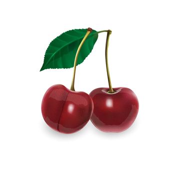 Ripe cherries on a white background. Realistic style illustration.