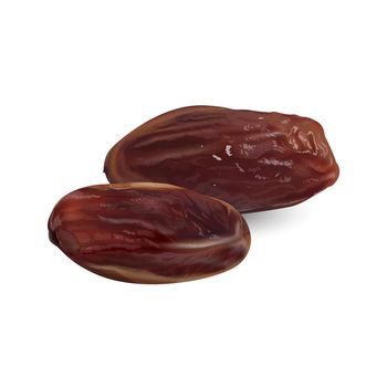 Dried date palm fruits on a white background. Realistic style illustration.