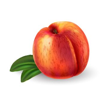 Fresh ripe peach - healthy food design. Realistic style illustration.