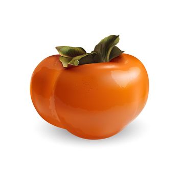Juicy persimmon fruit on a white background. Realistic style illustration.