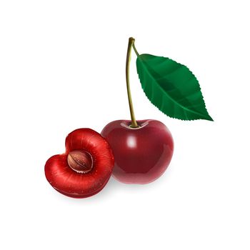 Ripe cherries on a white background. Realistic style illustration.