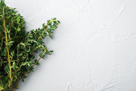 Thyme green organic bunch of herb, on white background, top view with copy space for text