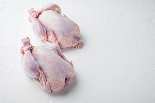 Fresh raw chicken meat, on white background with copy space for text
