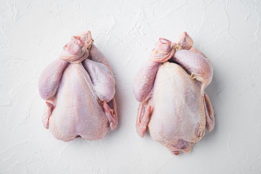 Raw small young whole chicken, on white background, top view