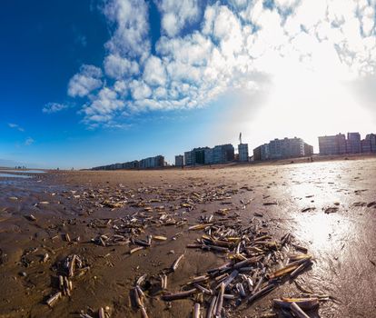 a group of jackknifes on the beach with no people on a sunny autumn day with a cloudy sky