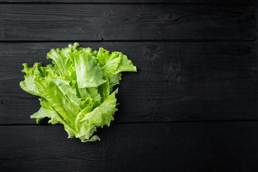 Fesh green lettuce salad organic leaves, on black wooden table with copy space for text
