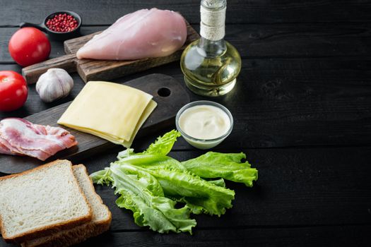 Delicious sandwich with toasted bread ingredient, on black wooden table with copy space for text