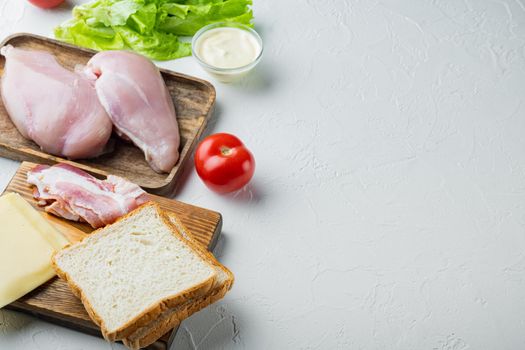 Delicious sandwich with toasted bread ingredient, on white background with copy space for text