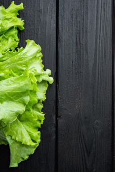 Green salad lettuce fresh leaves, on black wooden table with copy space for text
