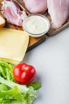 Delicious sandwich with toasted bread ingredient, on white background with copy space for text