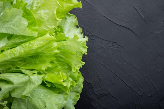 Fesh green lettuce salad organic leaves, on black background with copy space for text