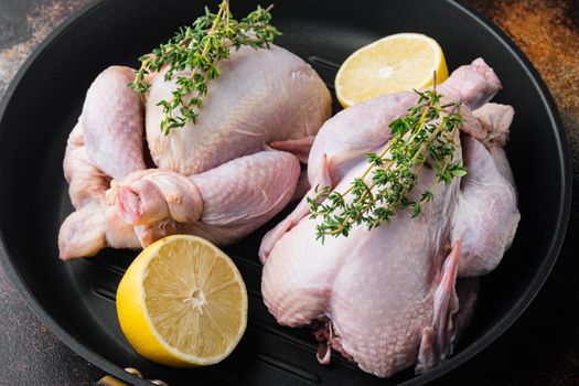 Fresh raw whole chicken carcass on grill pan, on old rustic background