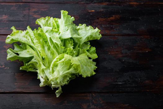 Fesh green lettuce salad organic leaves, on dark wooden background