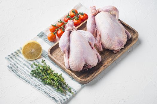 Fresh whole poult meat with herbs and ingredients, on white background with copy space for text