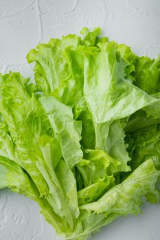 Fesh green lettuce salad organic leaves, on white background
