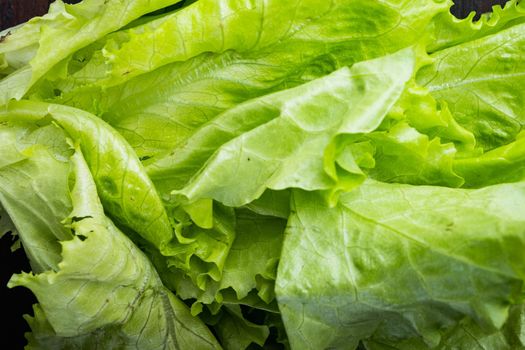 Fesh green lettuce salad organic leaves, on dark wooden background