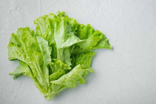 Raw organic green, oak lettuce, on white background