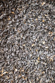 black color sunflower seed texture for farm animal feed