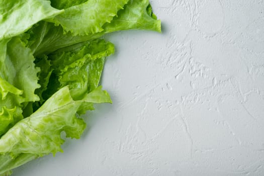 Fesh green lettuce salad organic leaves, on white background with copy space for text
