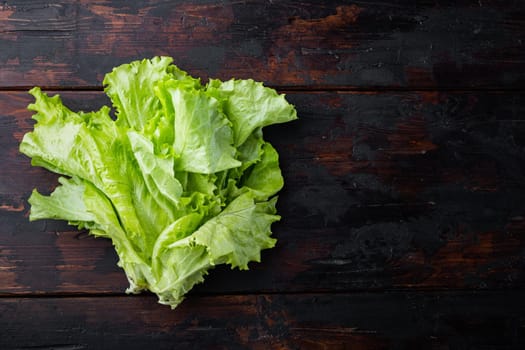 Fesh green lettuce salad organic leaves, on dark wooden background with copy space for text