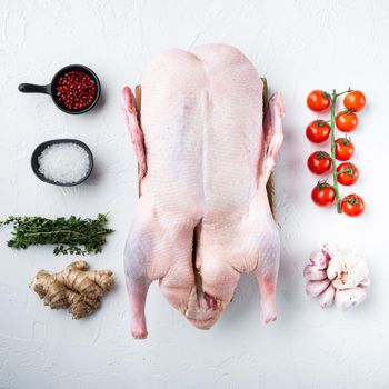 Raw whole farm duck meat on white background, flat lay.