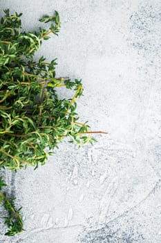 Thyme green fresh bunch, on gray background, top view with copy space for text